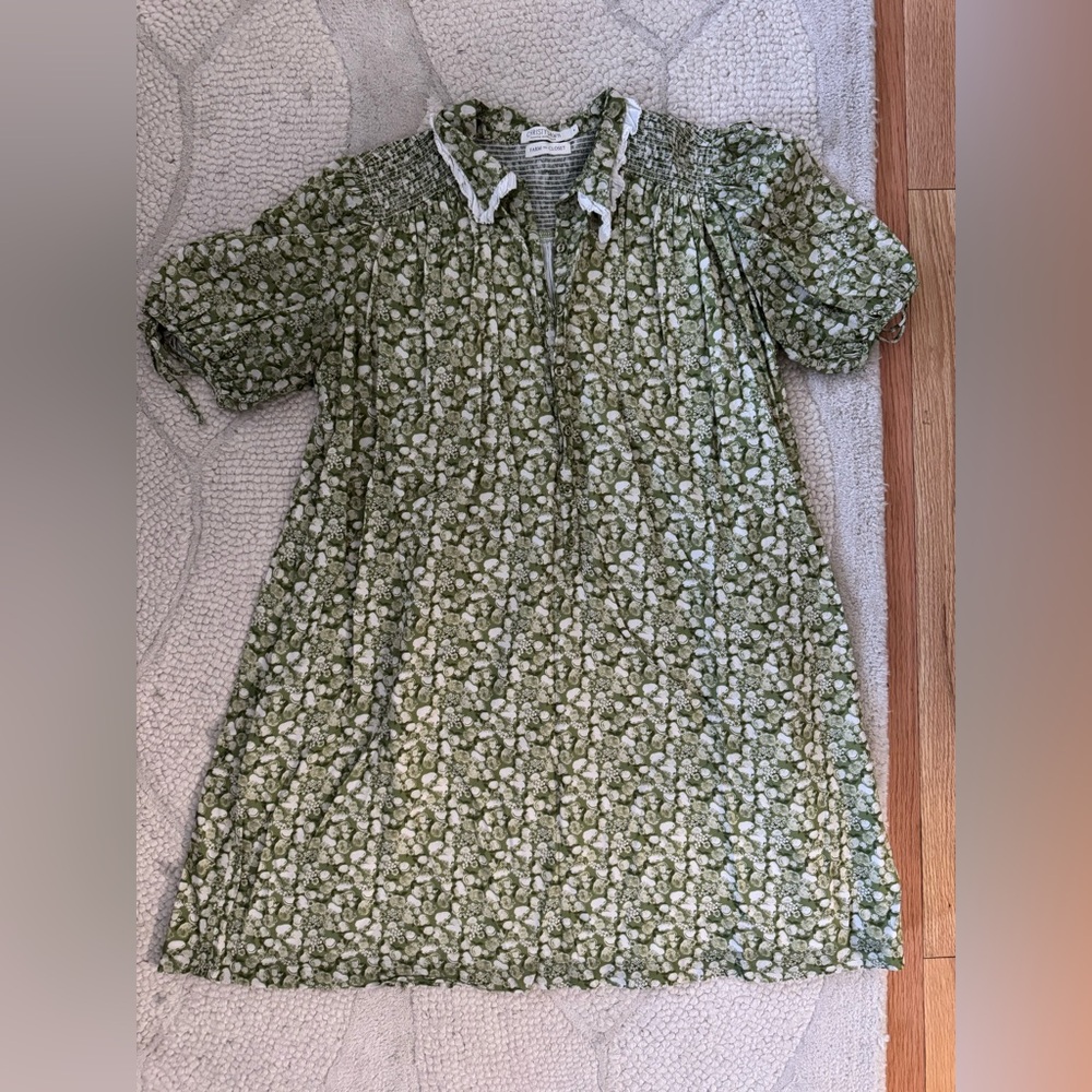 Christy Dawn Farm to Closet Mini Dress